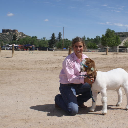 Douglas County Fair Foundation Events